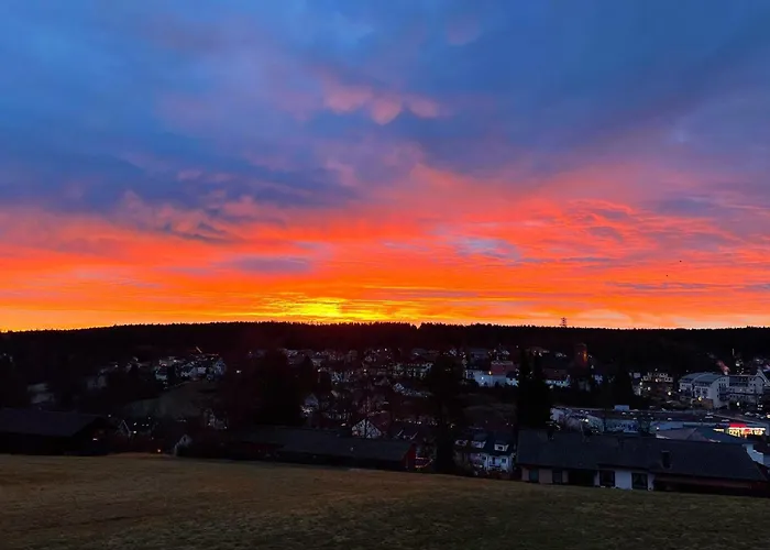 Modernes Panorama-Domizil